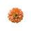 Thumbnail: Orange Zinnia Vinyl Decal