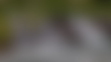 IJsland: van sprookjesachtige waterval tot ruige gletsjertunnel