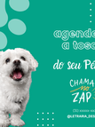 PET E NATUREZA (8).png