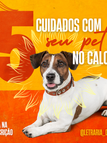 PET E NATUREZA (6).png