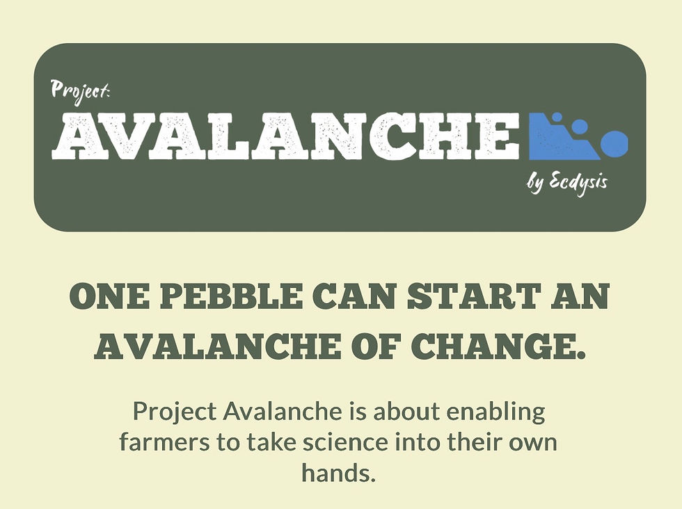 Project Avalanche