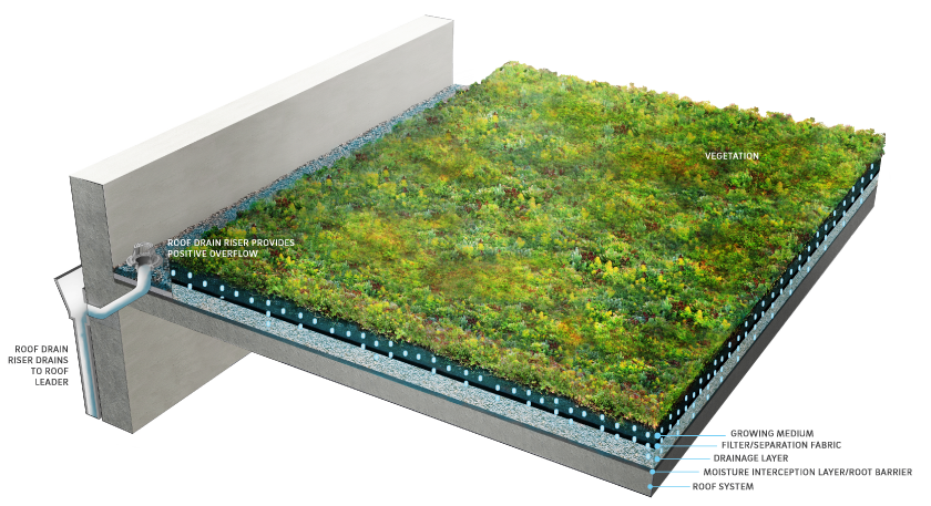 PFGA Designing Green Roofs