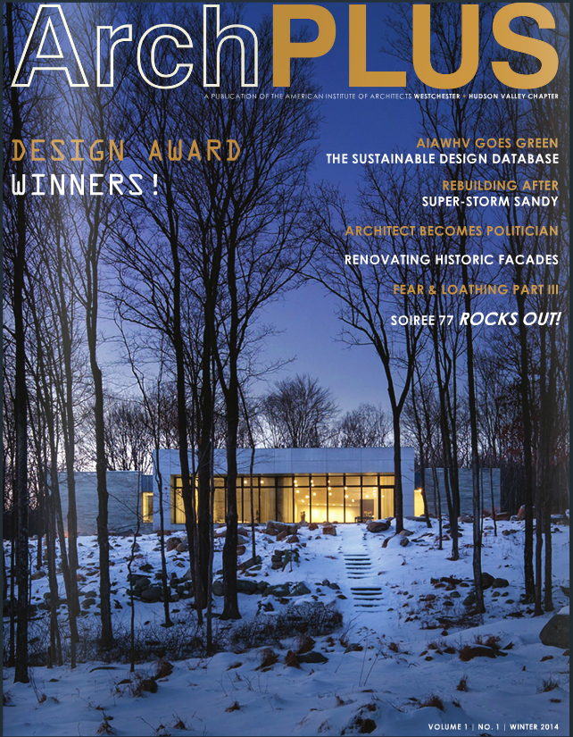 archPLUS WINTER 2014
