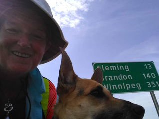 THE EXPEDITION Chapter 17: Serendipity (Section 1)