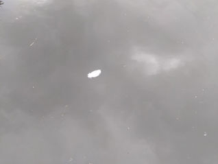 Avalon via the Rideau Canal