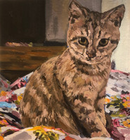 Cat portrait