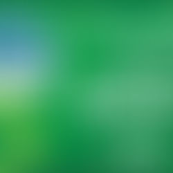 Scottish Family Business of the Year (s/m) The Victor Pizza Co