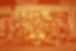 topo1.jpg