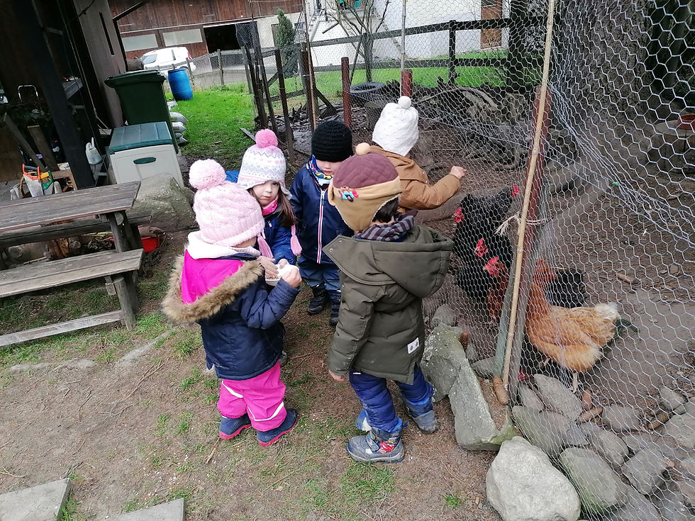 IMG_20191209_144432