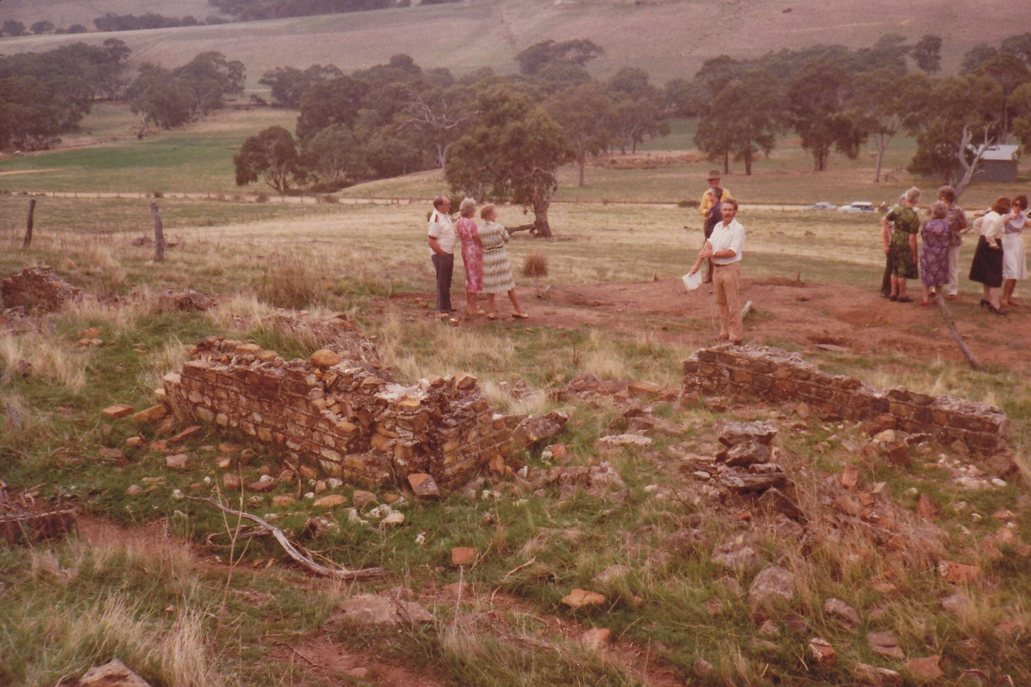 Hillside