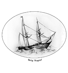 YDHS logo Brig Rapid