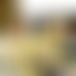 カフェサニーイベントお知らせ