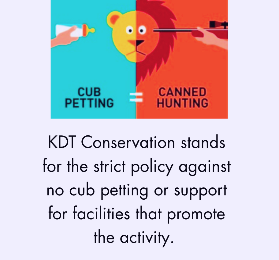 KDT Conservation