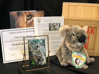 Koala PackageWEB.jpeg