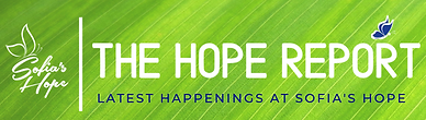 November Newsletter 2.png