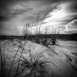 Ari Beach Photo North Carolina