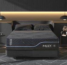 Screen Shot 2026-02-17 at 11.55.18 AM.png