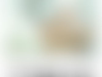NEWメニューのご紹介