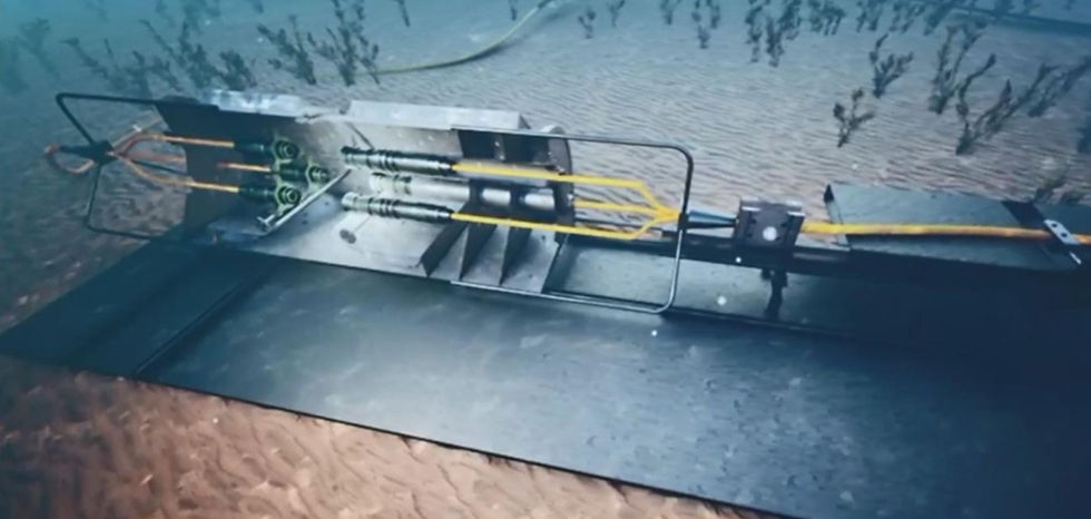 PHOTO-2026-01-30-11-19-58 6_edited.jpg