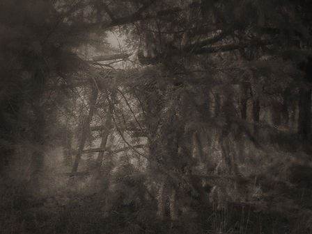 40-Editing_Julie PEIFFER 2025.jpg