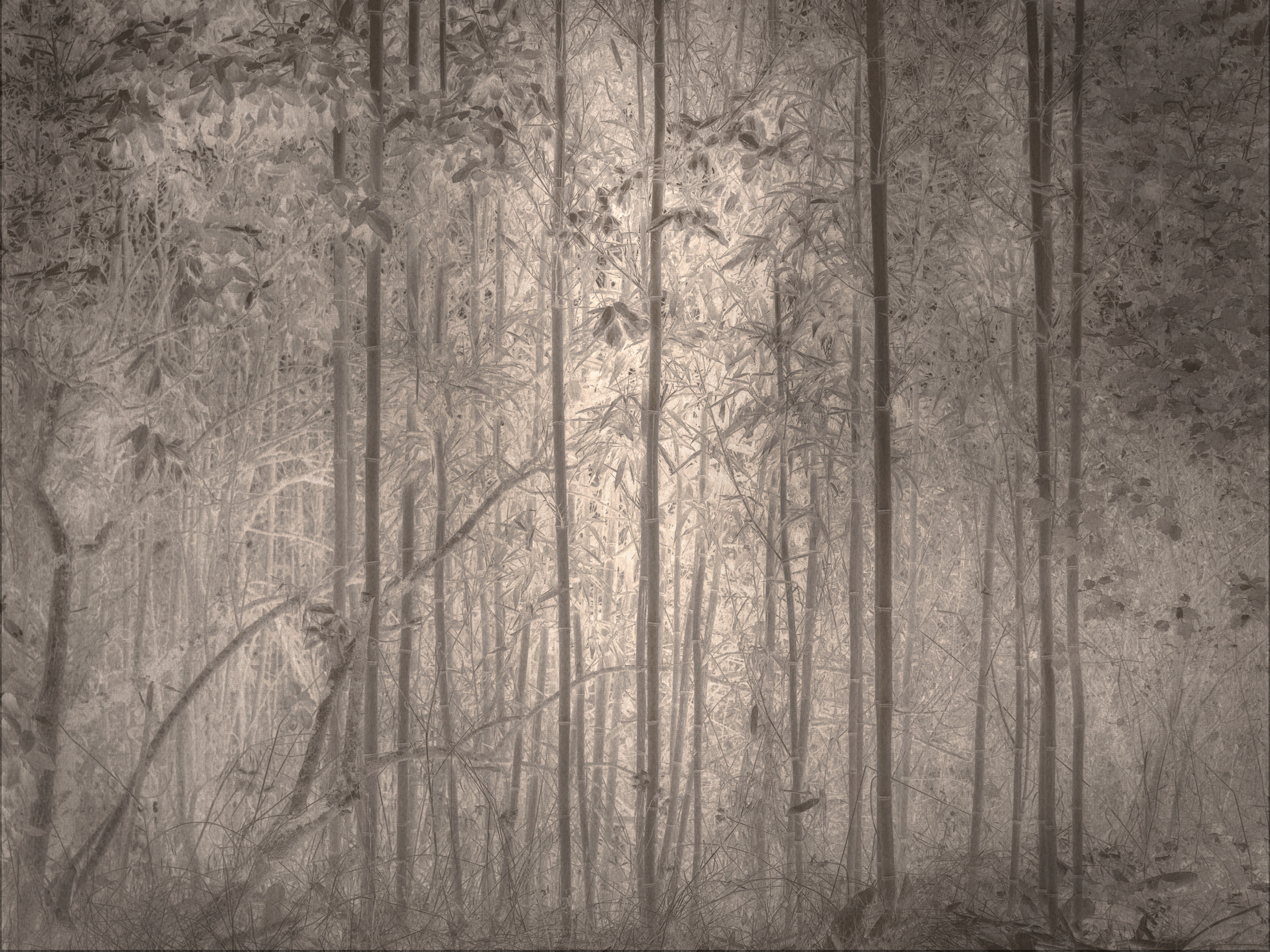 C'est ici que j'ai perdu mes contours, 2025