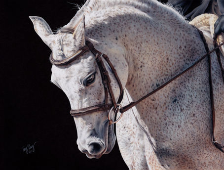 Meg Merry, Ivory Shadows, drawing of a white horse with freckle-like dappling marks