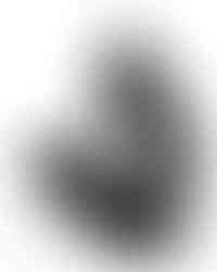 My Shadow’s Shadow, by Skylah Saenz, black and white ink drawing of a dog and it's shadow