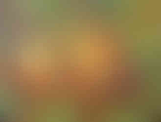 Playful Instincts, by Natalie Kraepel, playful tiger illustration