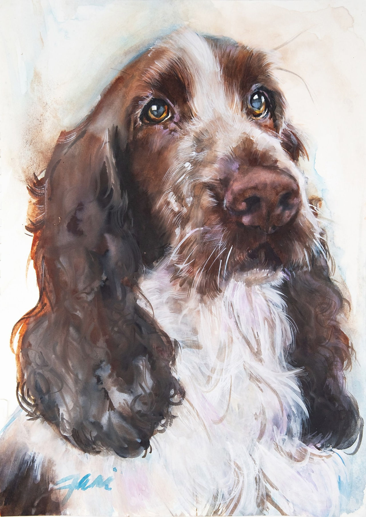 Chocolate Spaniel, by Jani Freimann, contemporary portrait of a dog