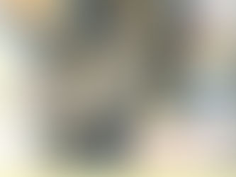 Art by Ariana Zimmerman