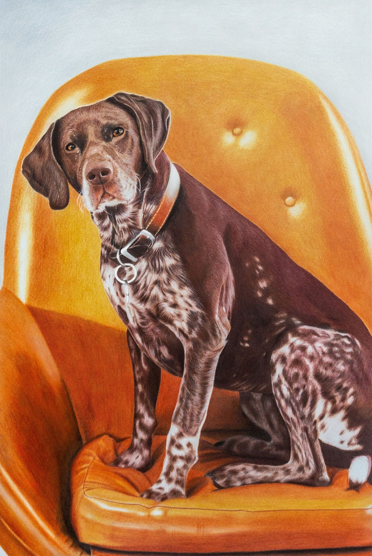 My Throne, by Eniko Orban, hyper realistic painting of a brown dog on an orange chair