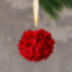 Glob de craciun inedit