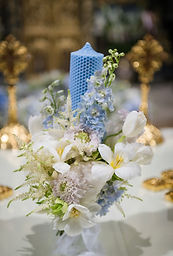 IMG_5546.PNG