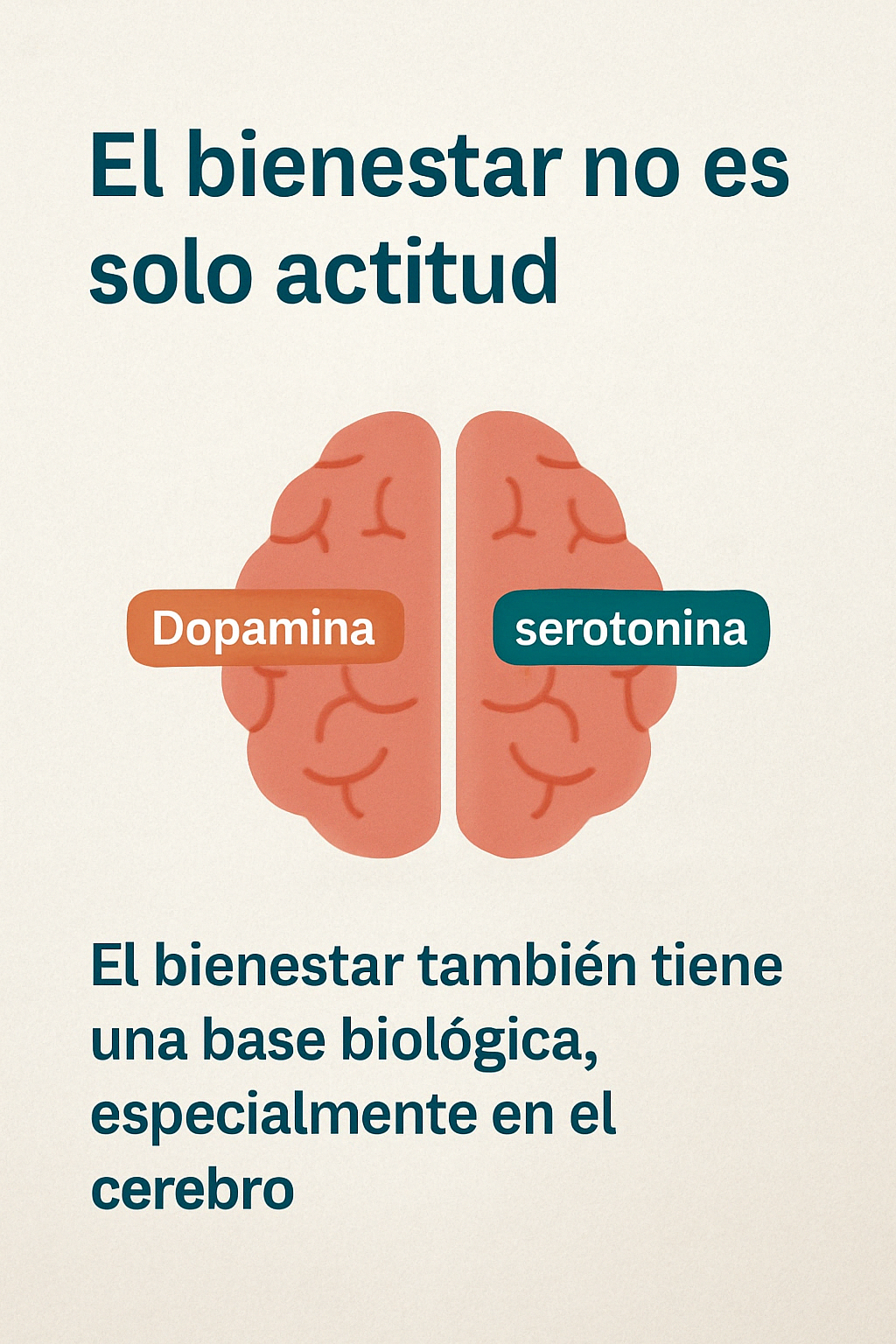 Bienestar y cerebro: la química también importa