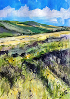 Dartmoor Evening
