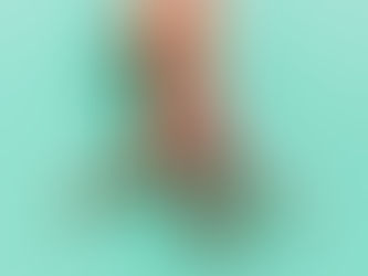 All things sex: Introduction I