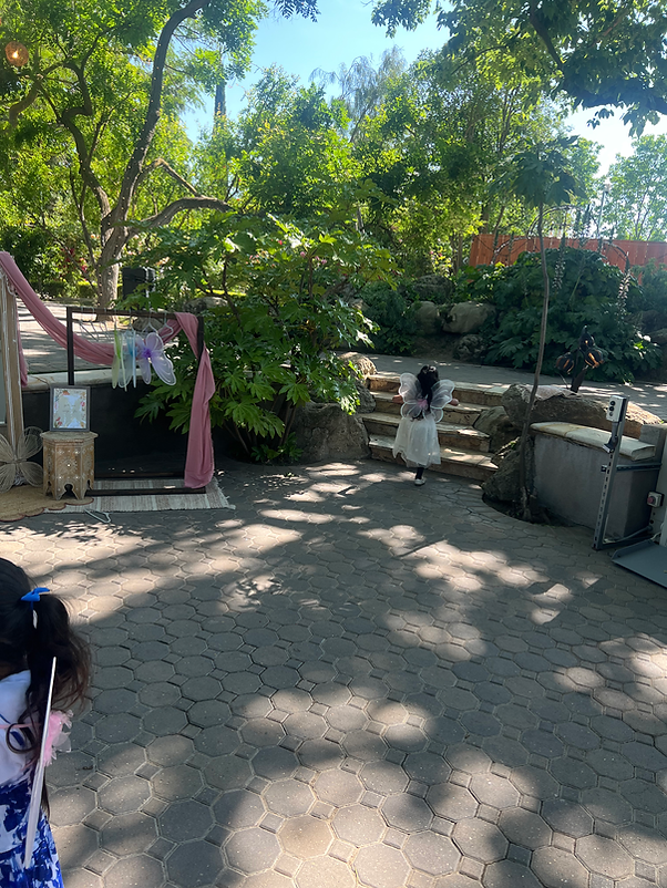 birthday party outdoor bay area fairy themed event for kids.HEIC