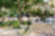 wedding-reception-venue-bay-area-discovery-bay.jpg