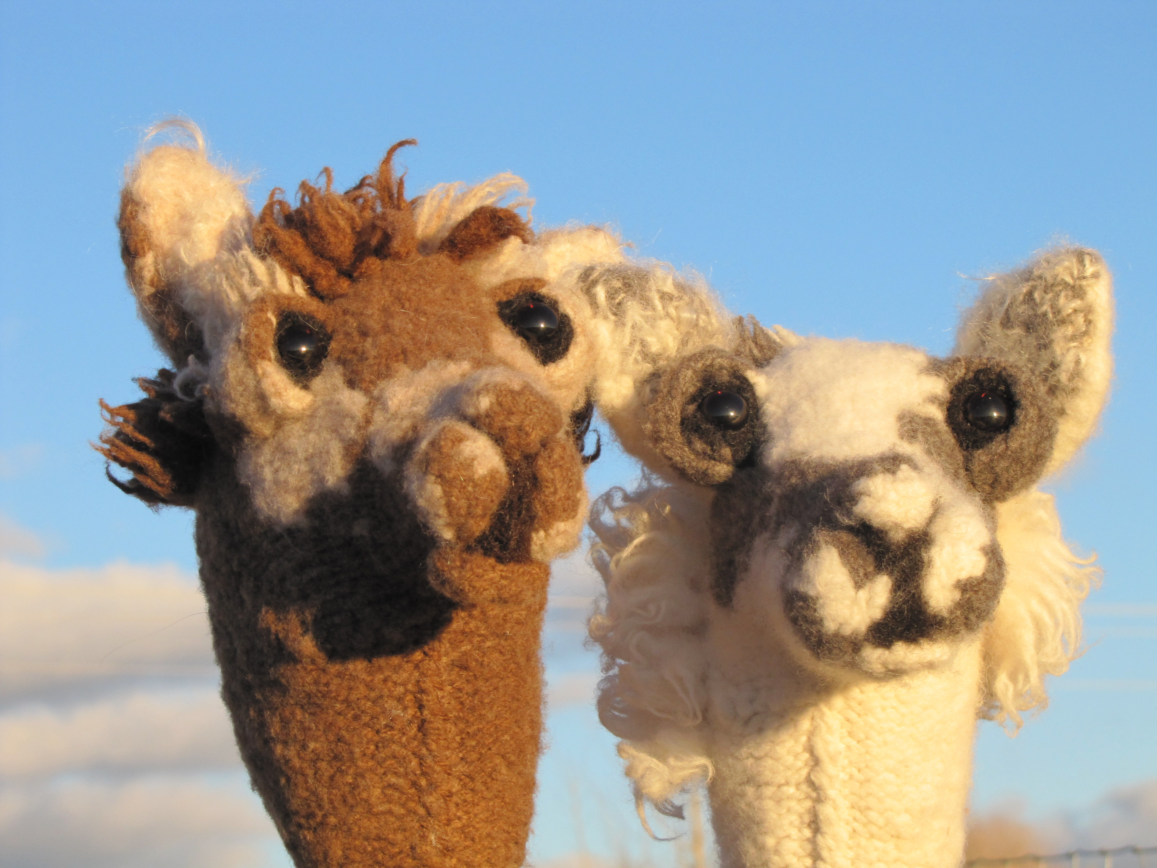 Reina the Stick Llama