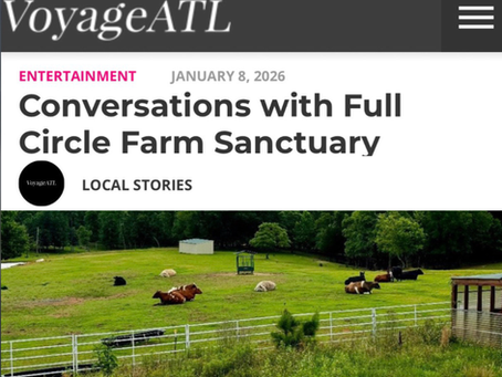 Screenshot of a VoyageATL article featuring Full Circle Farm Sanctuary, showing the article title above a photo of the sanctuary’s cow pasture.