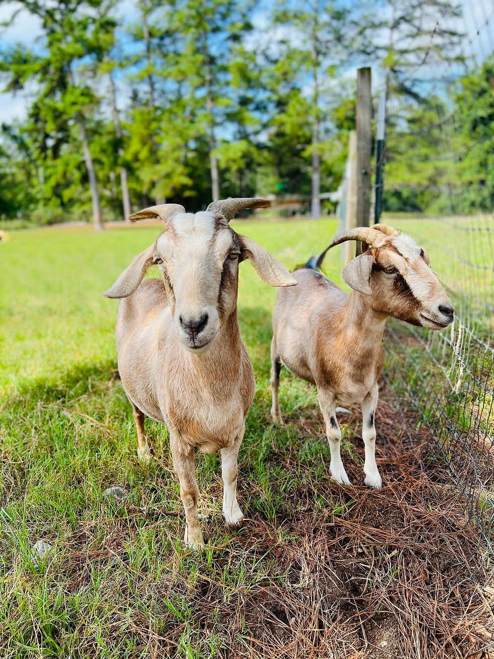 Xuxa and her petite mom, Fawn.