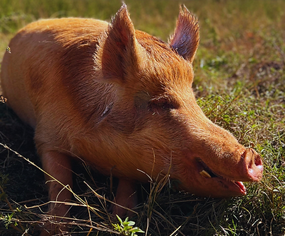 Black and White Stationery Notes A4 Document (3 x 3 in) (22).png