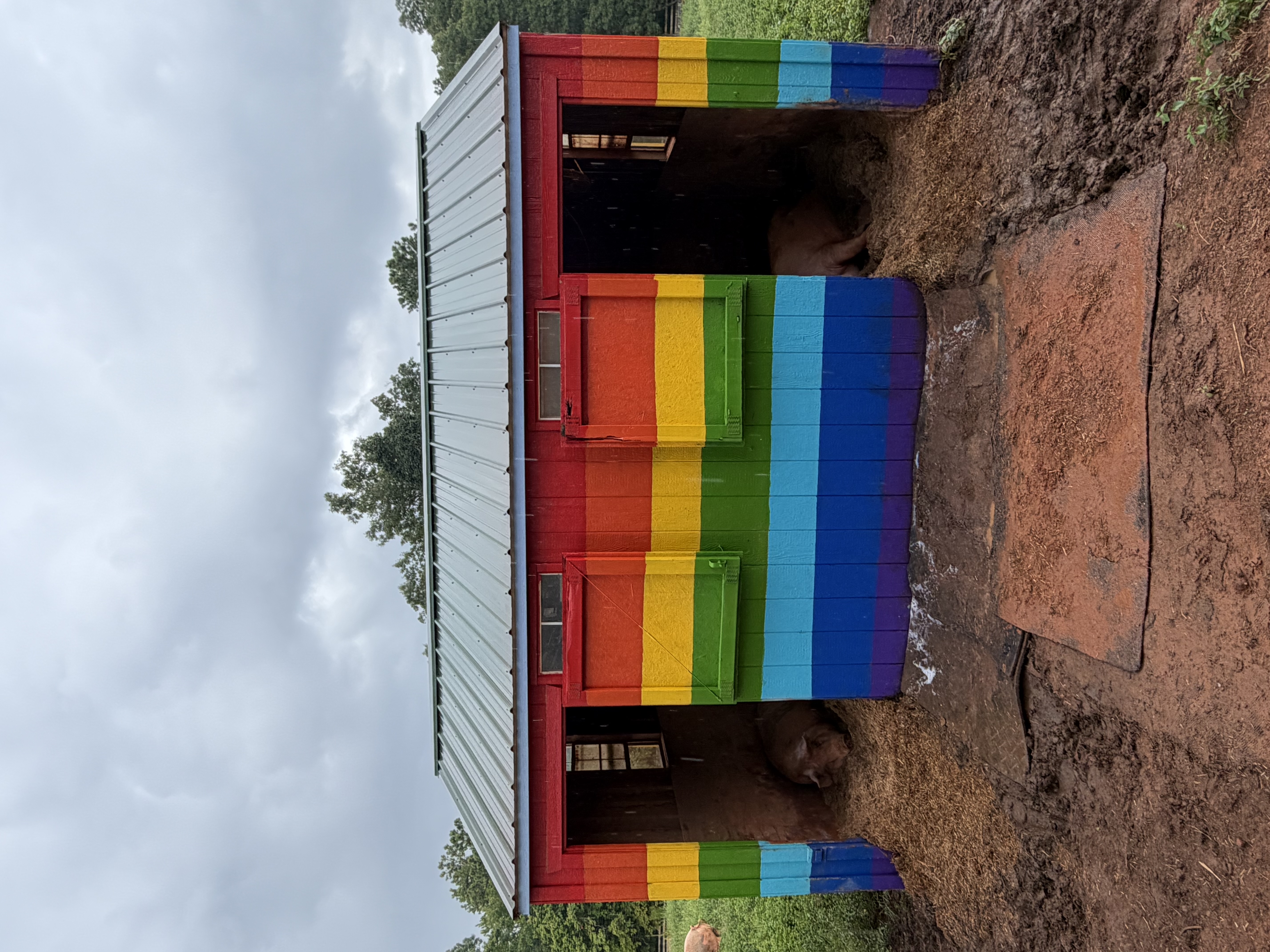 Writer: Full Circle Farm Sanctuary
