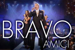 14 bravo amici