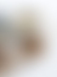 Why Nature Wins: The Benefits of Natural Skincare — Introducing DunnyBees