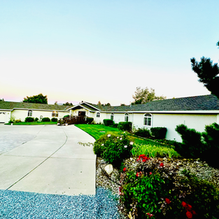 Front yard