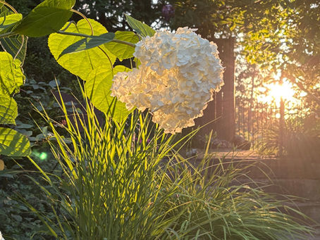 BUT I HAD A PLAN ...