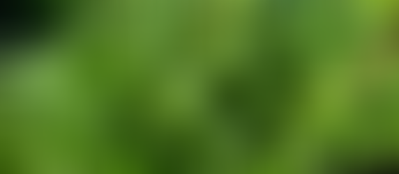 SPRINKLING PIXIE DUST