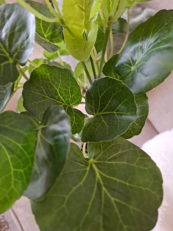 Artificial Plant Polyscias in Pot 70cm