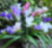 Silk Flowers for Grave. Pot with mixed colours of silk freesias